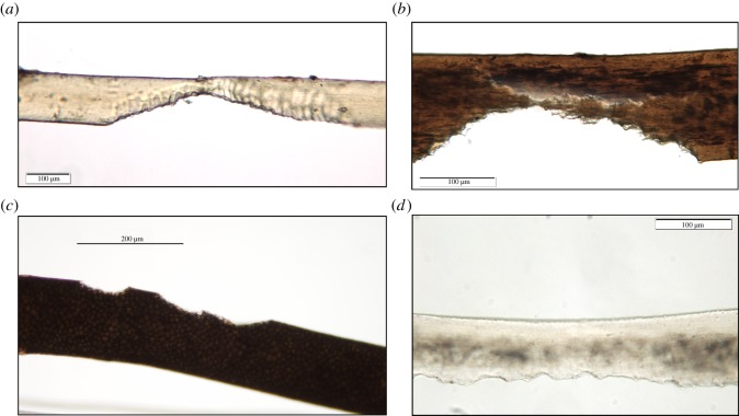 Figure 5.