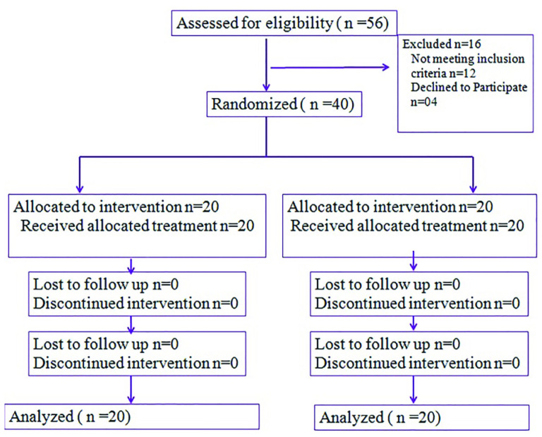 [Table/Fig-1]: