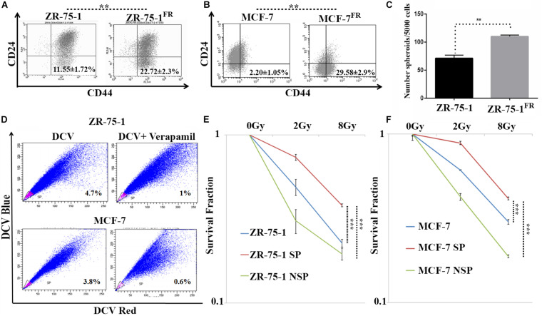 FIGURE 3