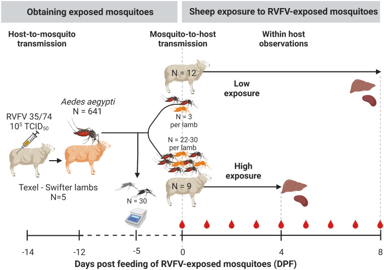 Figure 2