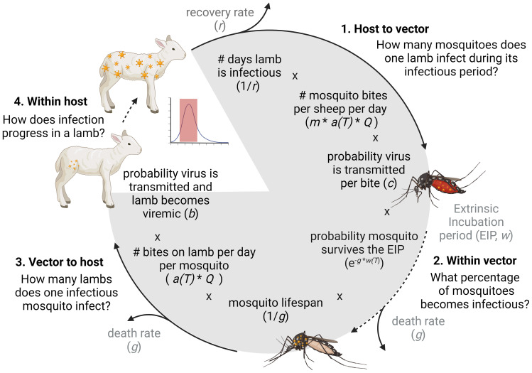 Figure 1