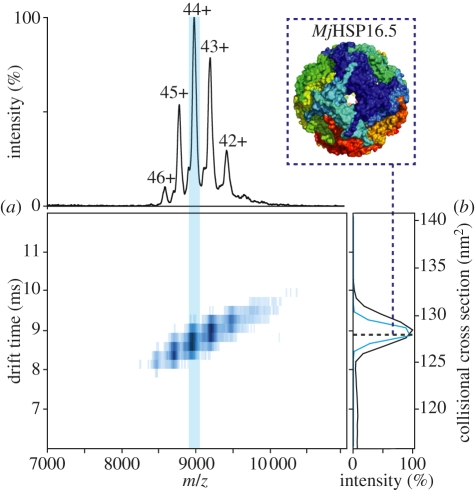 Figure 4.