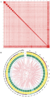 Figure 2:
