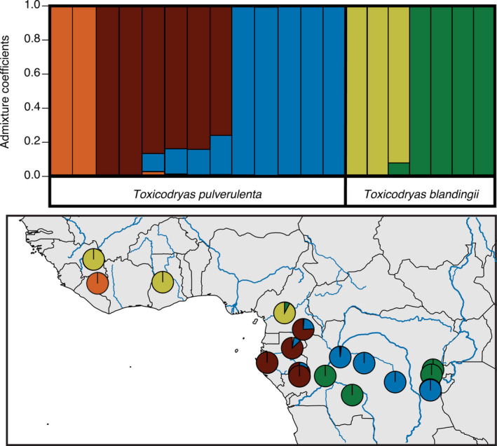 FIGURE 4