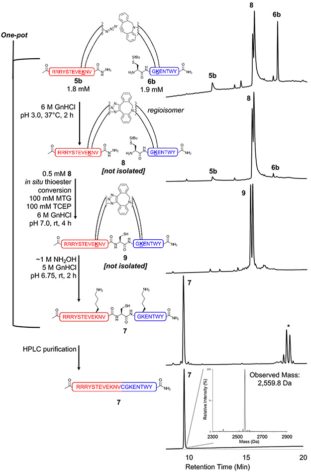 Figure 5: