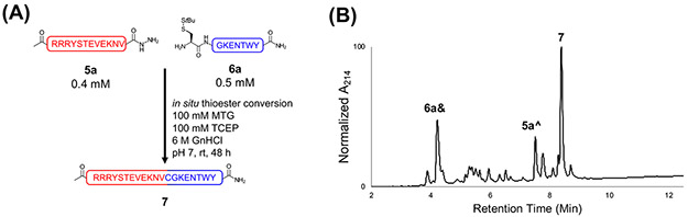 Figure 4: