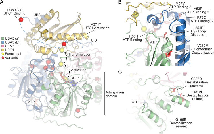 Figure 5.