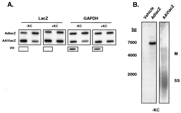 FIG. 8.