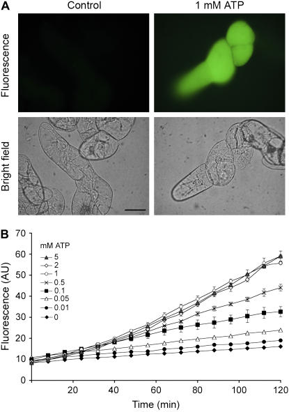 Figure 1.