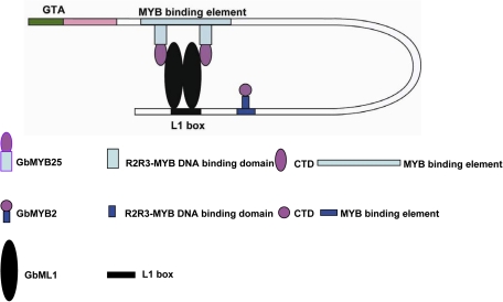 Fig. 8.