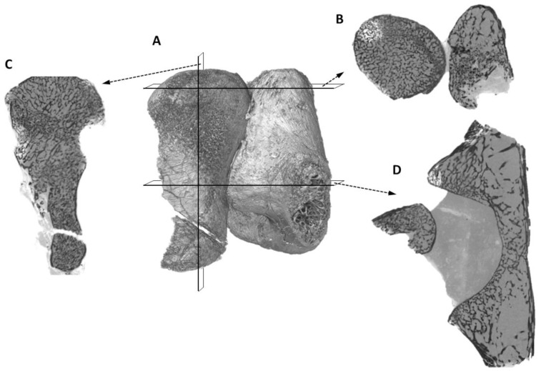 Figure 14