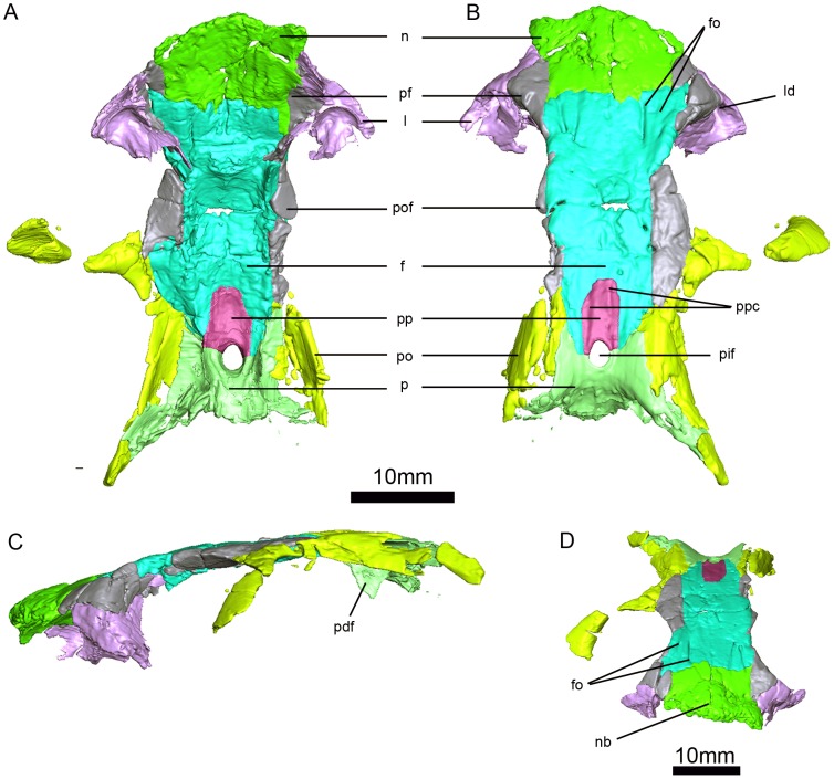 Figure 5