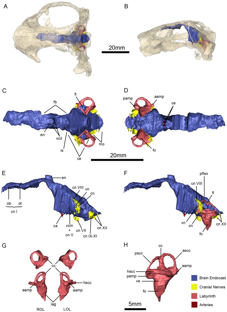 Figure 15