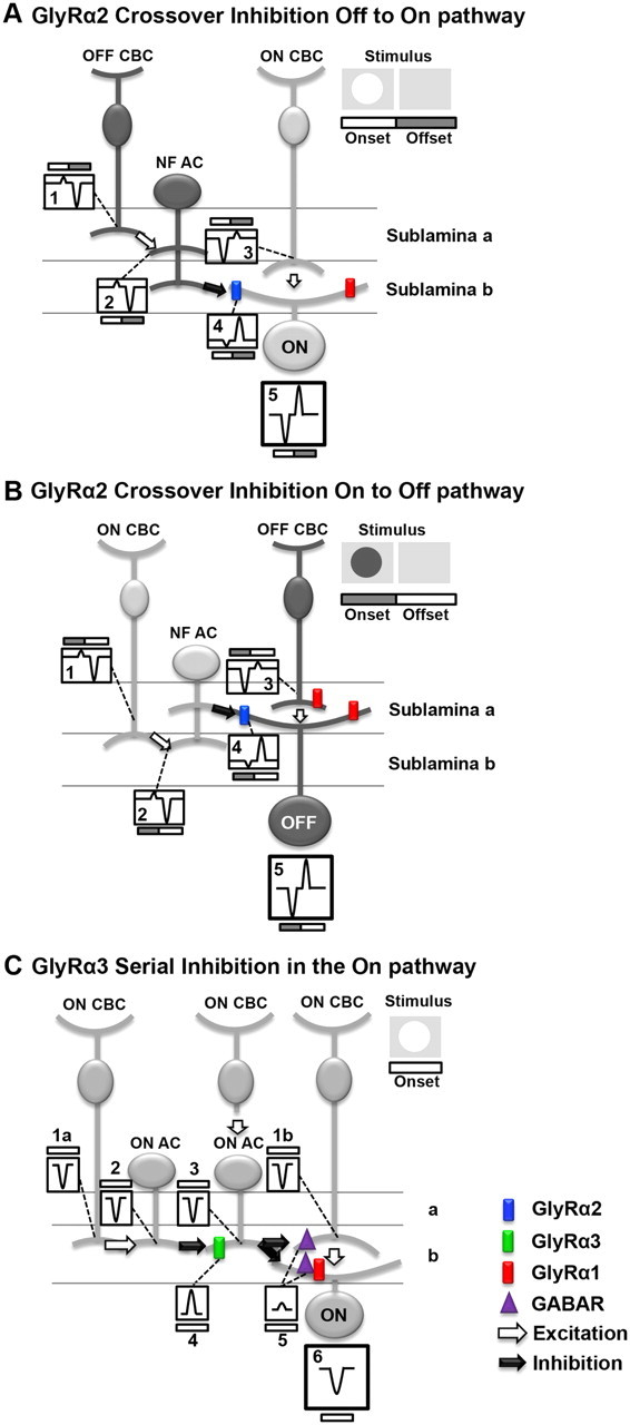 Figure 10.