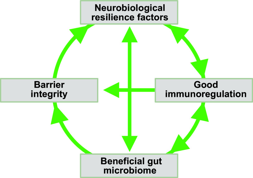 FIGURE 12.