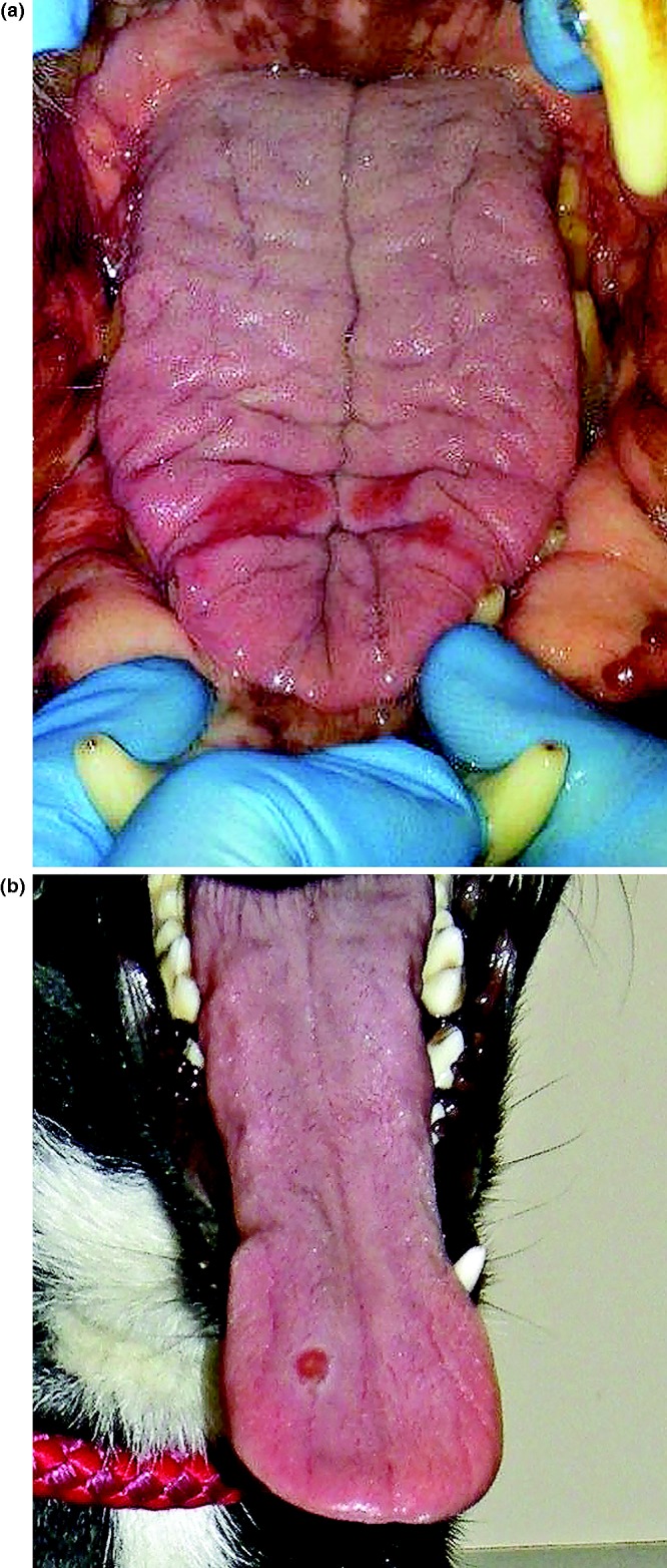 FIG 3: