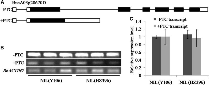 Figure 10.