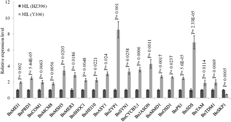 Figure 9.