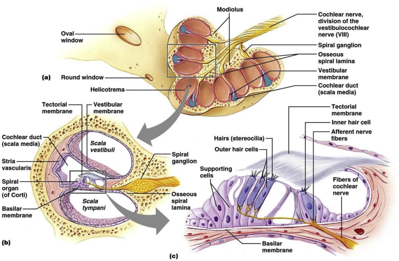 Fig. 3