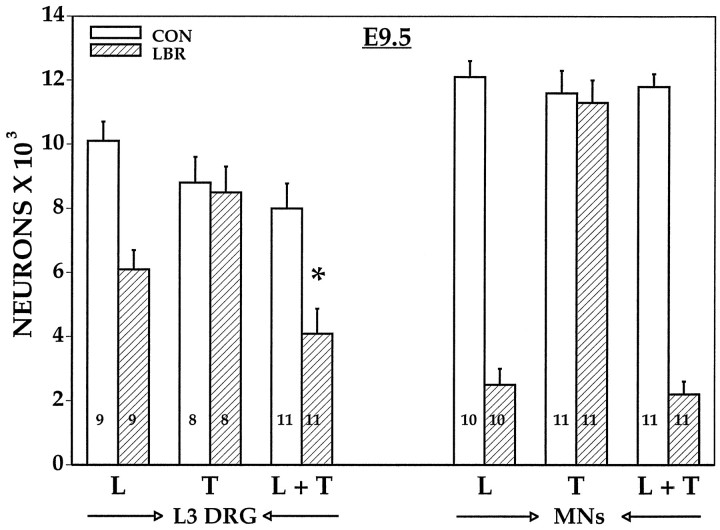 Fig. 9.