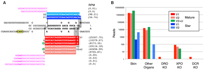 Figure 2.