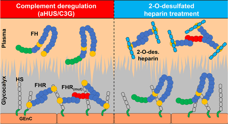 Figure 5