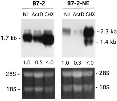 FIG. 7