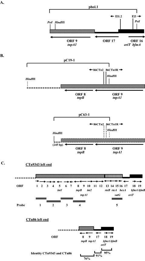 FIG.2.