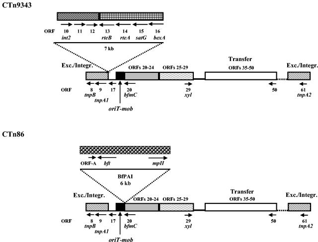 FIG. 8.