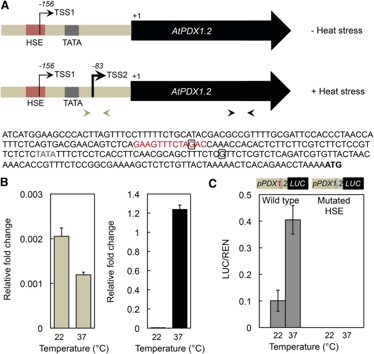 Figure 6.