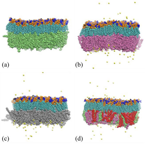 Fig. 3