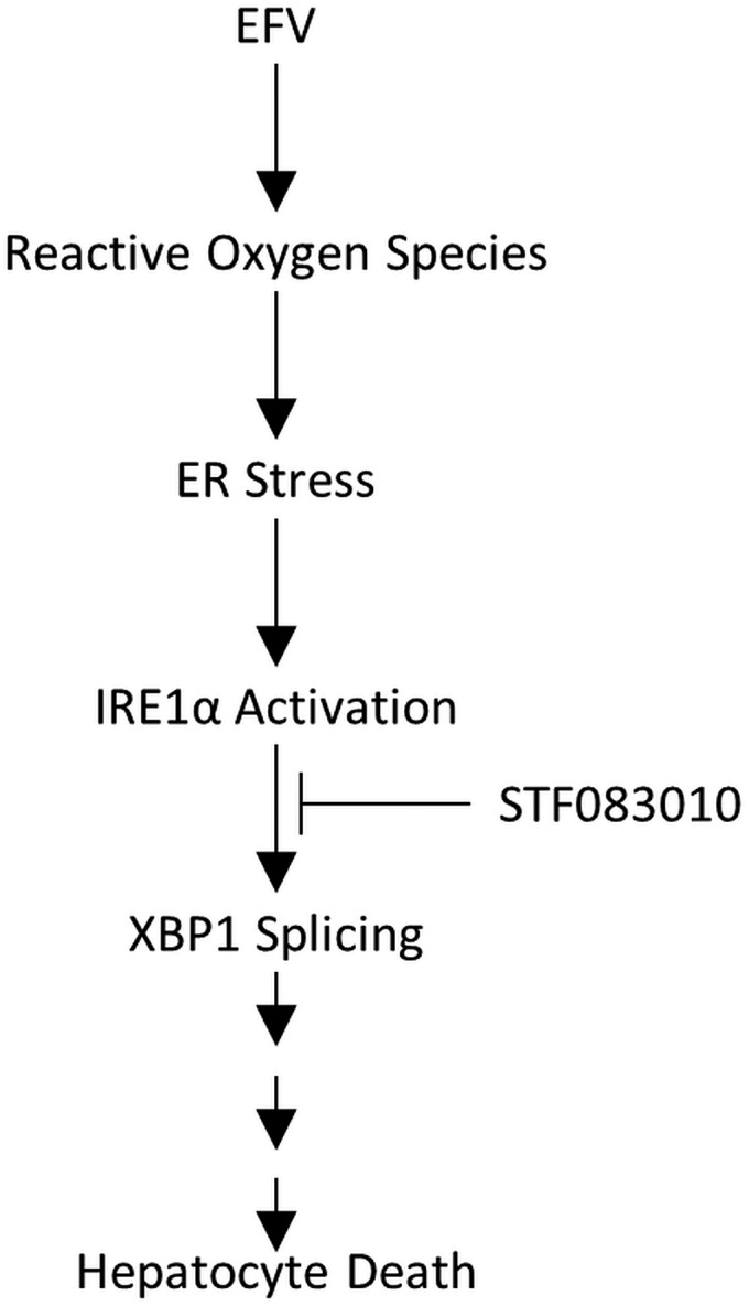 Fig. 9.