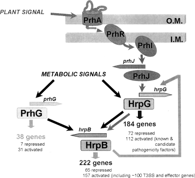 FIG. 7.