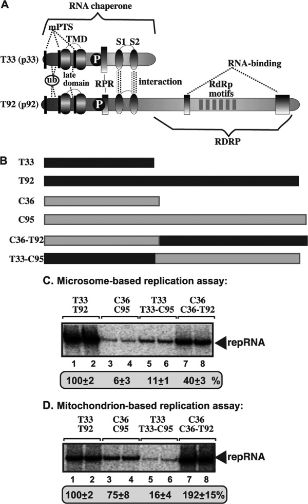 Fig 7