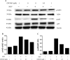 Fig. 3