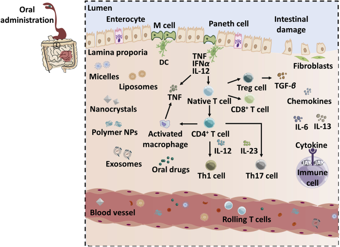 Figure 3