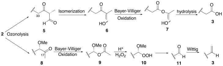 Scheme 2