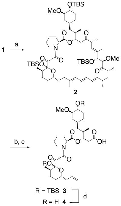 Scheme 1