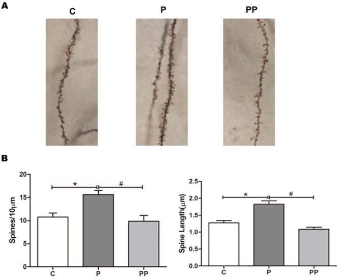 Fig 6