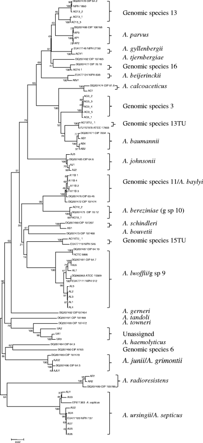 FIG. 1.