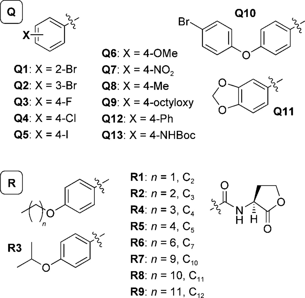 Scheme 4