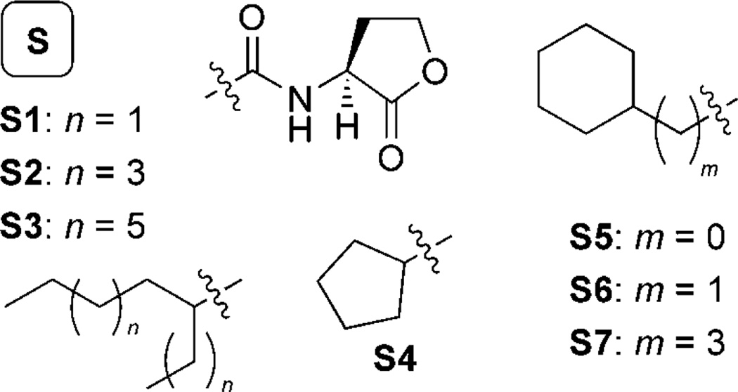 Scheme 5