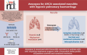 Graphical Abstract