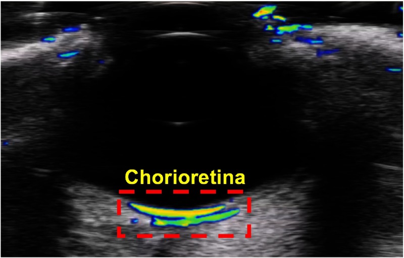 Fig. 3