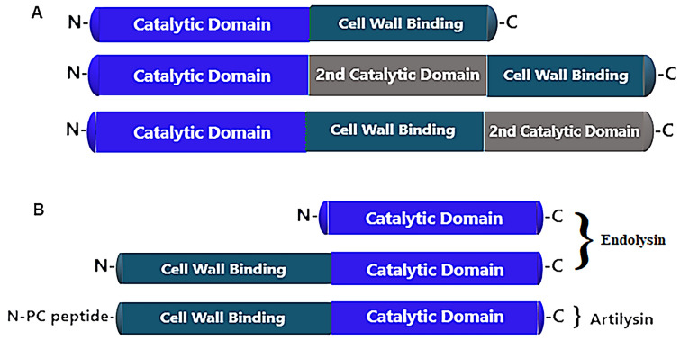 Fig. 2