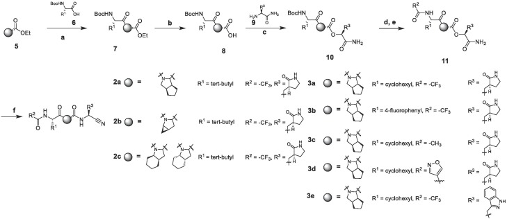 Scheme 1