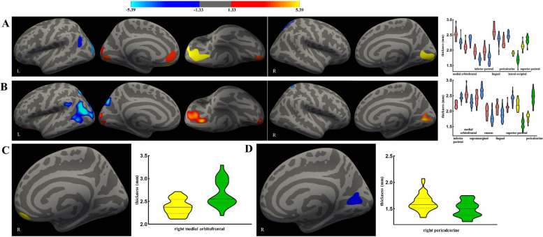 Fig. 2