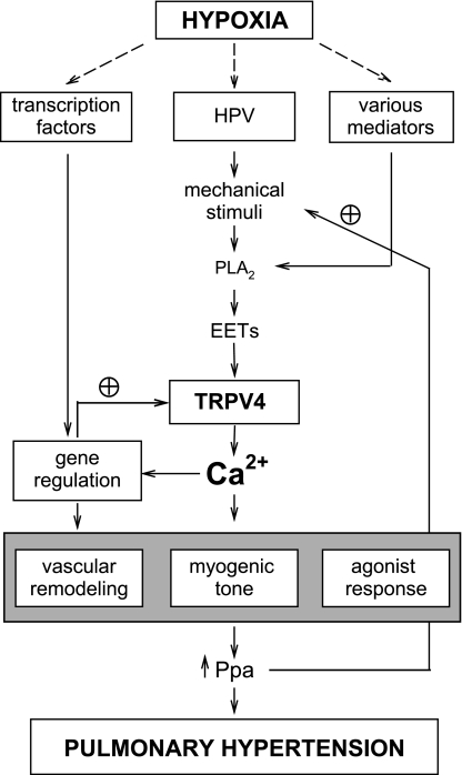 Fig. 11.