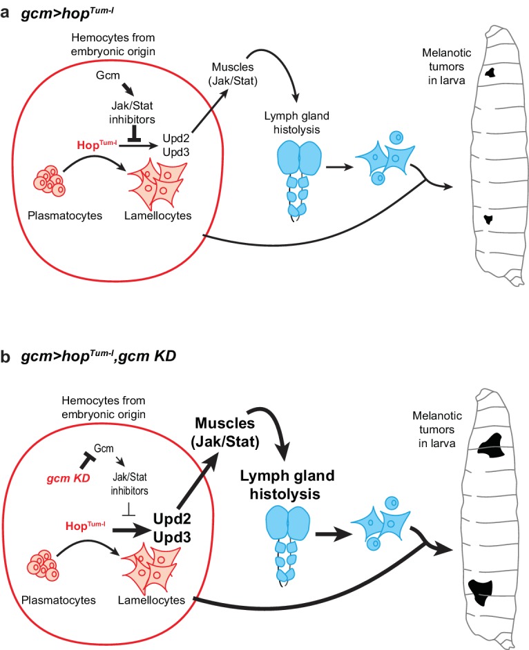 Figure 11.