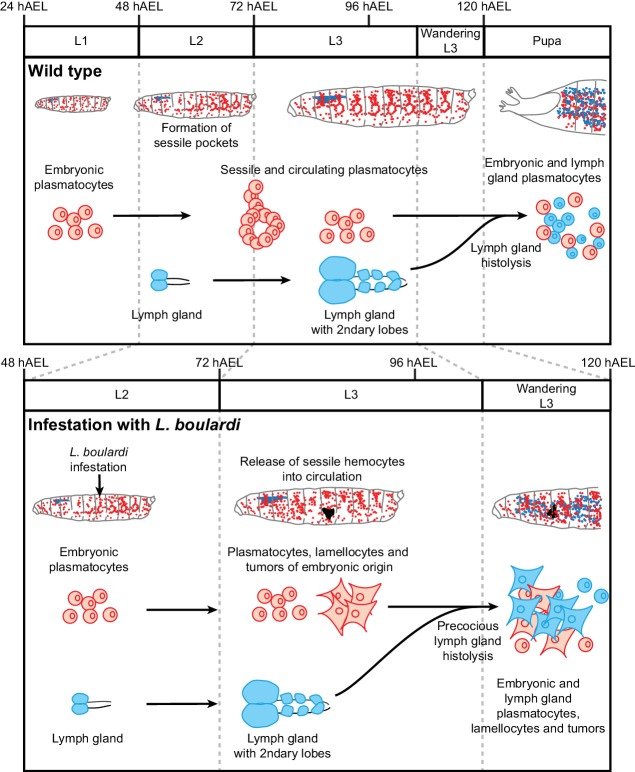 Figure 10.